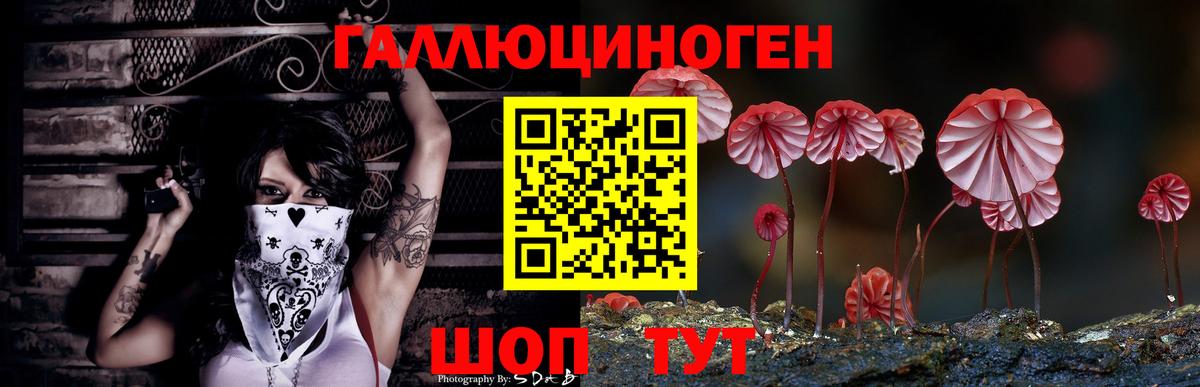 Псилоцибиновые грибы MAGIC MUSHROOMS  Псилоцибиновые грибы Psilocybe  Вход с VPN  Новочебоксарск 